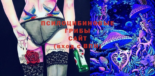 спайс Богородицк