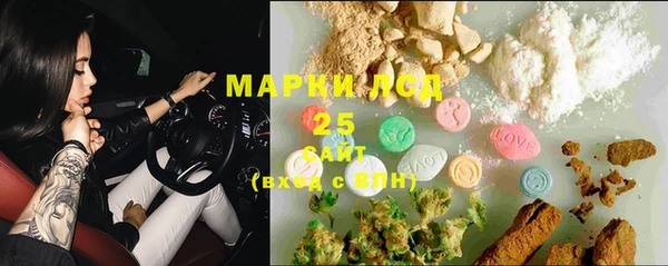 индика Рославль