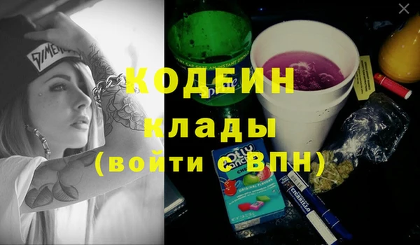 индика Рославль