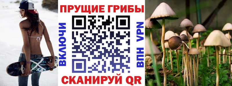 Галлюциногенные грибы прущие грибы  купить закладку  Мценск 